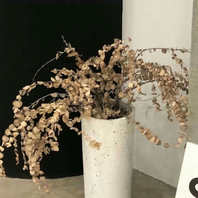 湘桥福瑞交流群